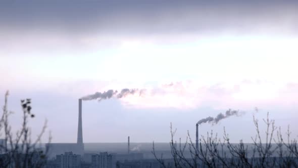 Steaming Plant Tubes in the Evening.