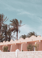 Stylish tropical location. Cactus and palm resort. Canary Island. Travel concept - PhotoDune Item for Sale