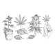 Set Marijuana - GraphicRiver Item for Sale