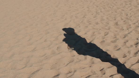 Long Shadow of the Man Standing on the Sandy Beach Walking