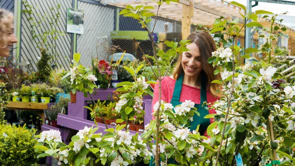 Female florist interacting with a customer