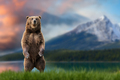 Brown bear (Ursus arctos) standing on his hind legs in the grass - PhotoDune Item for Sale