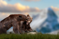 Two bears fight in the grass against the backdrop of snow-capped mountains - PhotoDune Item for Sale
