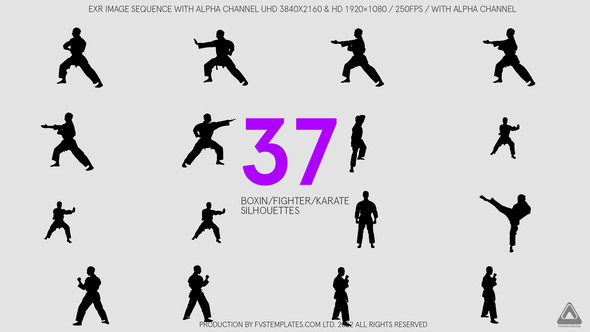 37 Karate / Boxing / Fighter Slow Motion Silhouettes alt