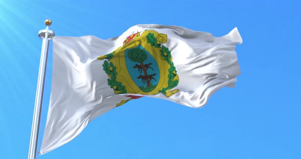 Flag of Durango, Mexico