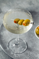 Boozy Refreshing Dry Gin Martini - PhotoDune Item for Sale