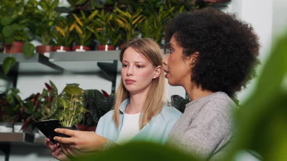 Concentrated female florists talking with flower pots