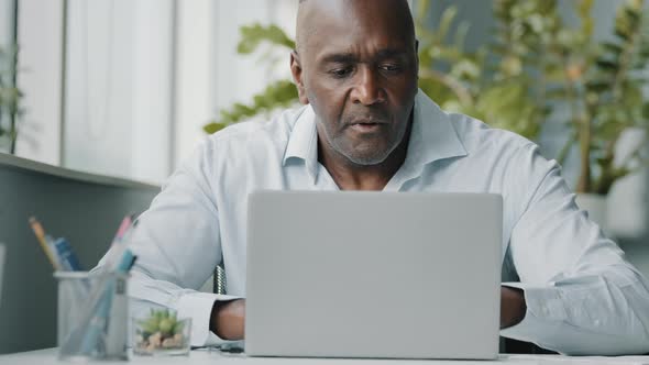 Creative African Businessman Senior American Worker Using Computer Device in Office Chatting Online