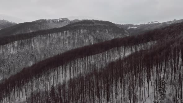 Aerial View of a Scenic Mountains Covered with Forests in Wintertime