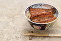 Unadon ( charcoal grilled style Unagi eel on rice ), Japanese cuisine - PhotoDune Item for Sale