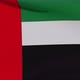 Flag of the United Arab Emirates Patriotism National Freedom Seamless Loop - VideoHive Item for Sale