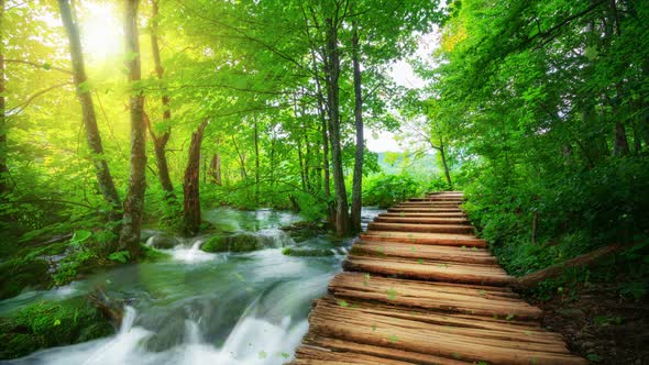 Seamless Loop Cinemagraph video of autumn wooden path in Plitvice Lake, Croatia