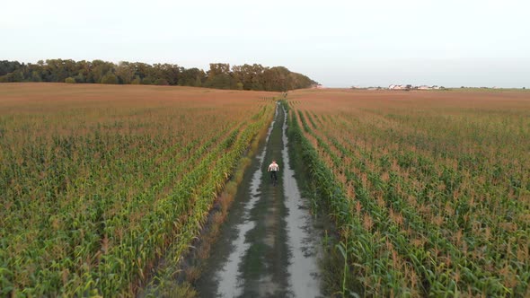 A Boy Rides Bicycle in the Field