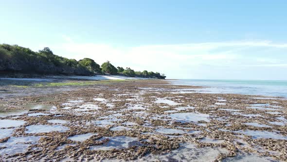 Aerial View of Low Tide in the Ocean Near the Coast of Zanzibar Tanzania