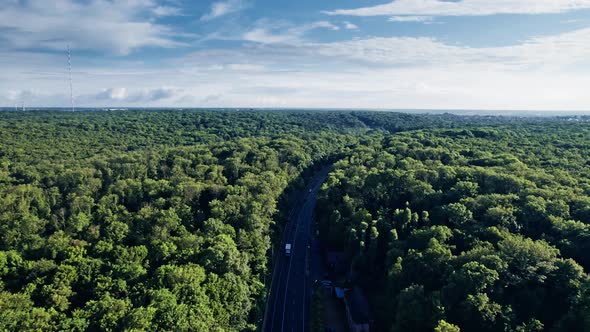 Car Driving Down an Asphalt Road Crossing the Vast Forest