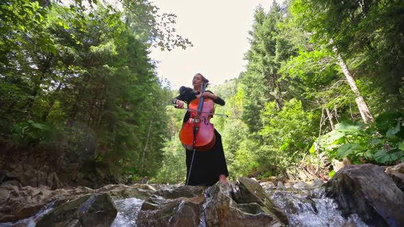 Female musician plays on cello against picturesque landscape