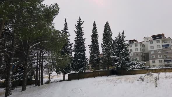 POV shot of trees and lawn covered with thin ice at the front of residential buildings on a cold win