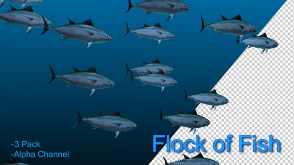 Flock Of Fish Hd