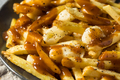 Homemade Cheesey Poutine French Fries - PhotoDune Item for Sale