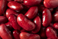 Raw Red Organic Kidney Beans - PhotoDune Item for Sale
