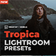 Tropica Premium Lightroom Preset - GraphicRiver Item for Sale