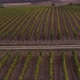 Vineyards Fields For Industrial Purposes 3 - VideoHive Item for Sale