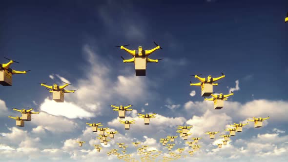 A Fleet of Drones