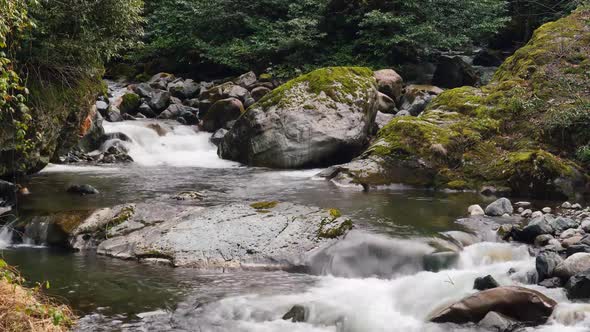 8K Clear River Flowing on Mossy Stones in Forest