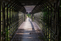 Bridge in jungle - PhotoDune Item for Sale