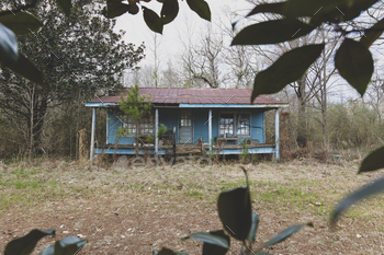 mbling, overgrown with plants and shrubs.