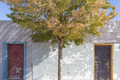 A tree in leaf by low buildings in a small town. - PhotoDune Item for Sale