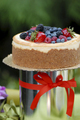 A cake with icing and fresh berries and a red ribbon. - PhotoDune Item for Sale