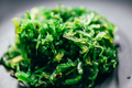 Seaweed Salad in black plate - PhotoDune Item for Sale