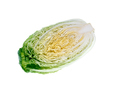 Sliced chinese cabbage for salad close up - PhotoDune Item for Sale