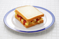 chip butty (french fry sandwich), British food - PhotoDune Item for Sale