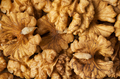 Walnuts abstract background - PhotoDune Item for Sale