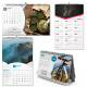 Calendar Combo Pack 2023 - GraphicRiver Item for Sale