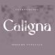 Caligna - GraphicRiver Item for Sale