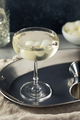 Boozy Refreshing Gin Gibson Martini - PhotoDune Item for Sale