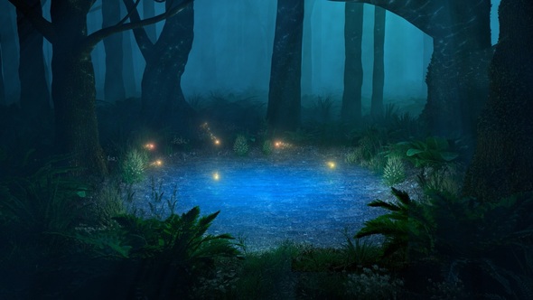 Fireflies above Pond in the Forest