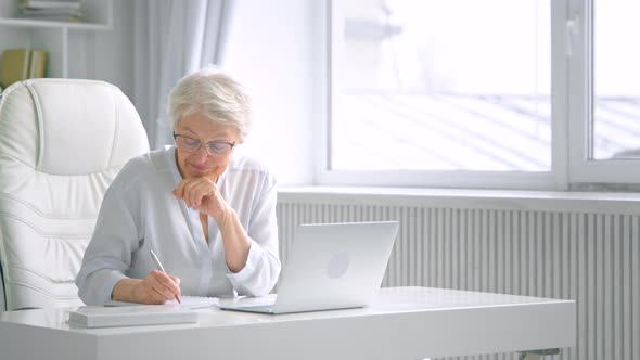 Smiling aged businesswoman with grey hair writes in paper notebook