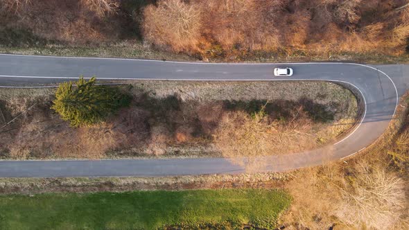 A white car driving down a switchback forest road at sunset. Aerial high angle view