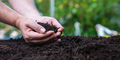 Soil in male hand close up view. Garden agriculture work, nature protect concept, banner copy space - PhotoDune Item for Sale