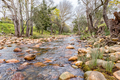 View of the Eerste River in Stellenbosch - PhotoDune Item for Sale