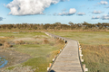 View from the boardwalk to the Geelbek Bird Hide - PhotoDune Item for Sale