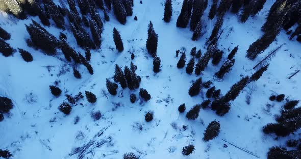 Active Recreation of People in the Mountains