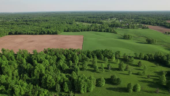 Drone field of farm land with green tree