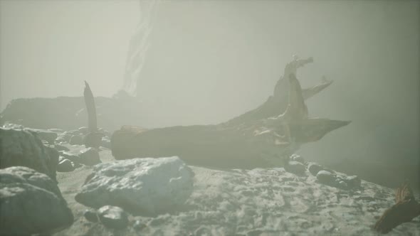 Rocky Cliff with Sand Beach in Deep Fog