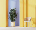 White modern chair with yellow arch and green plant in yellow pot, 3d render - PhotoDune Item for Sale