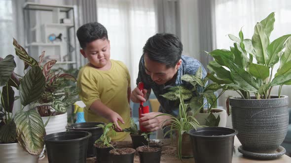 Father And Son Transplanting Plant At Home